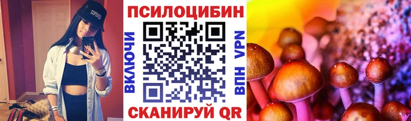 Псилоцибиновые грибы GOLDEN TEACHER  сколько стоит  Андреаполь 